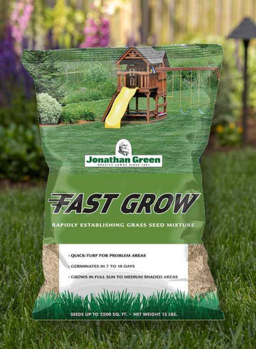 Hybrid Lawn Grass Seeds for Home Garden | Fast Growing Turf Grass | 100 Seeds (Pack of 1)